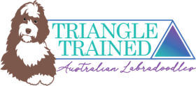 Triangle Trained Labradoodles